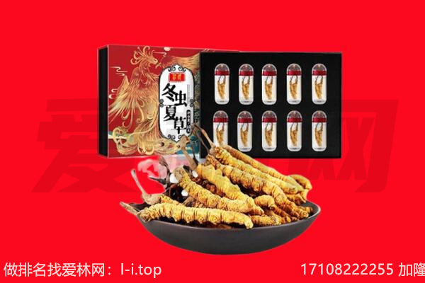 保山市回收虫草.jpg